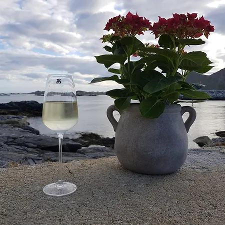 Lofoten Fyr Lejlighed Vaeroy